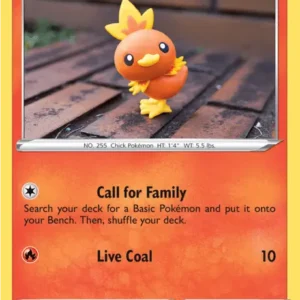 Torchic (DAA 22)