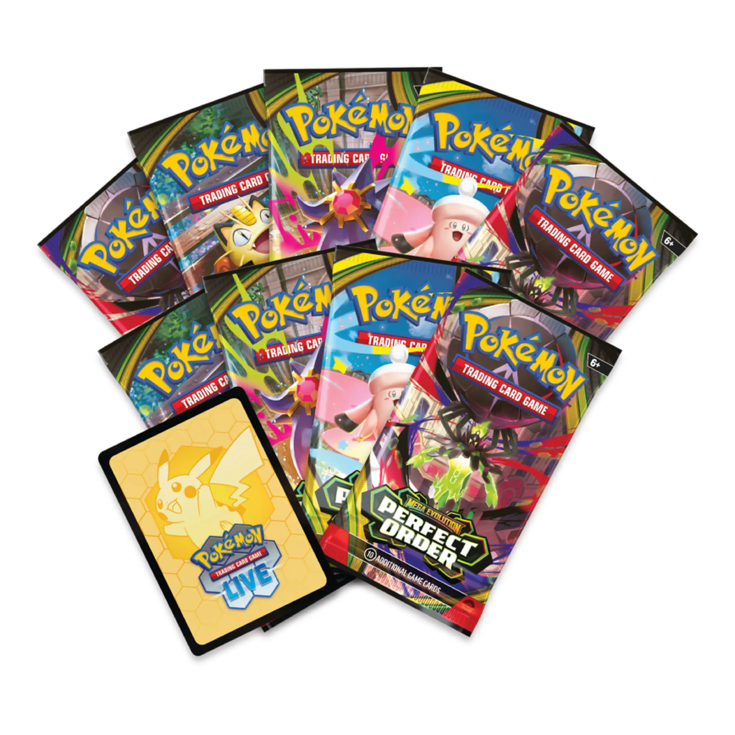 Perfect Order Elite Trainer Box - Image 4