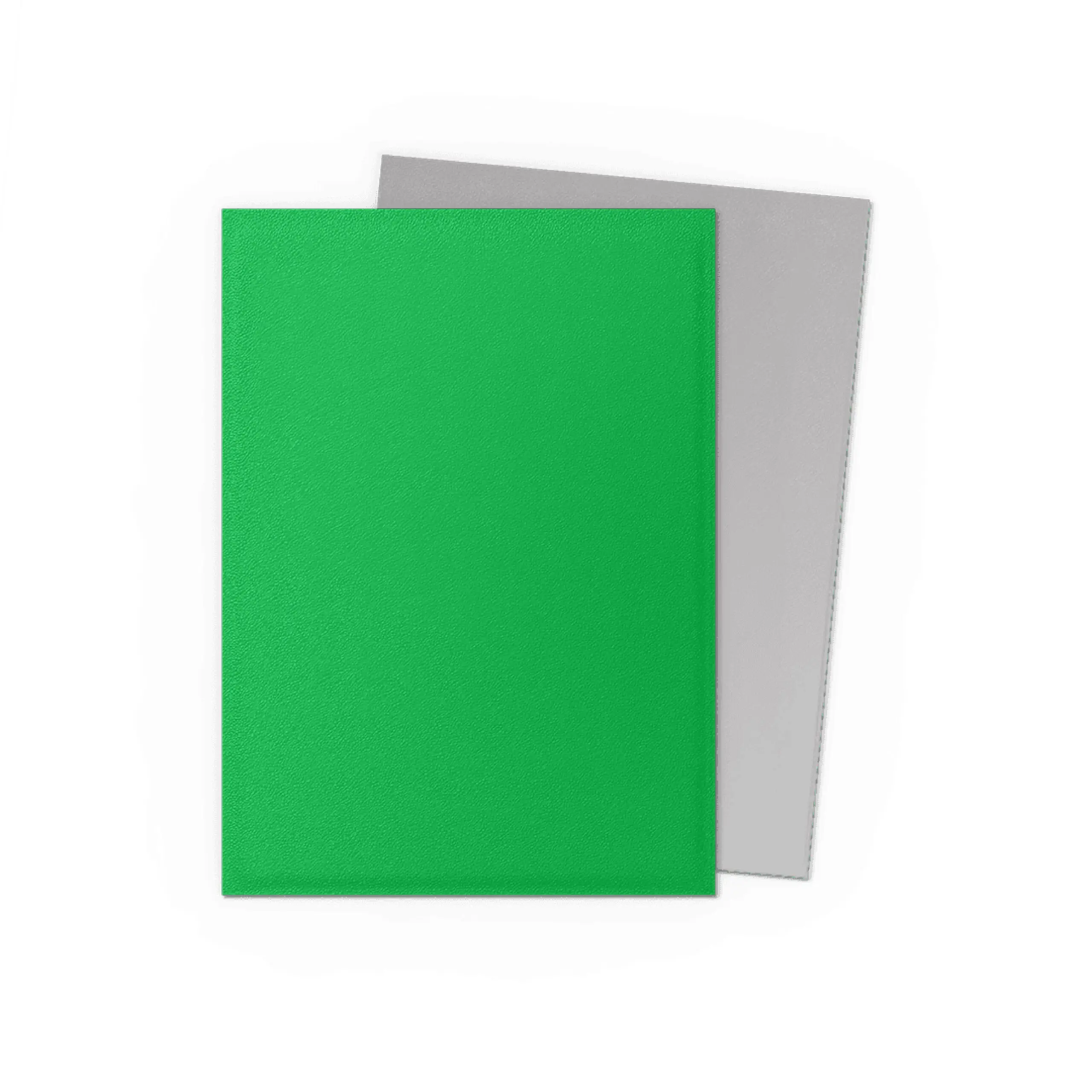Dragon Shield Dual Matte Sleeves – (Apple Green & Silver) - Image 2