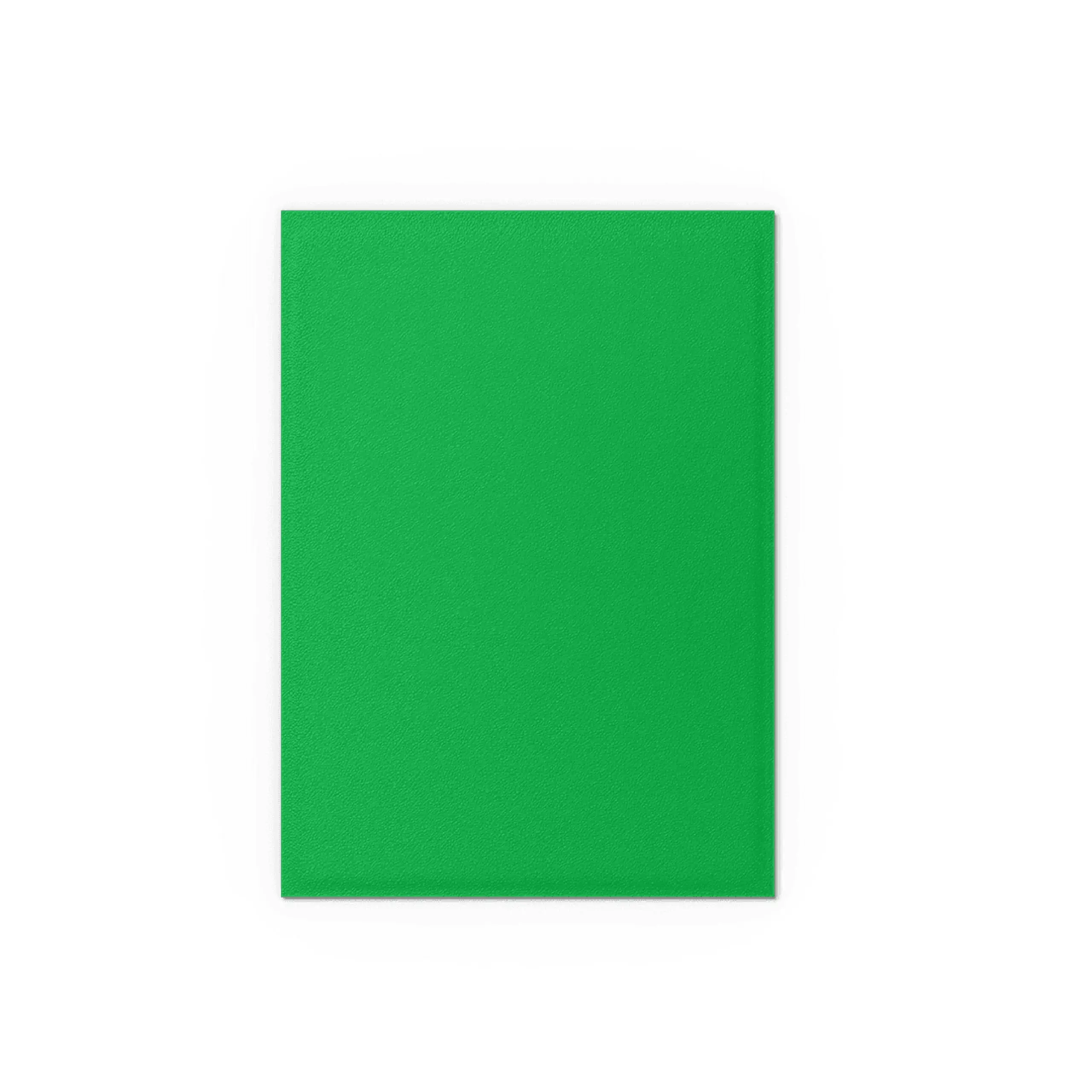 Dragon Shield Dual Matte Sleeves – (Apple Green & Silver) - Image 3
